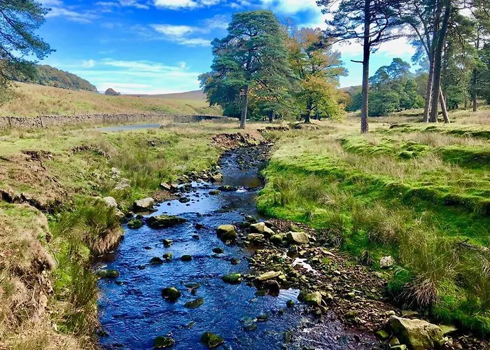 Ascot Village de vacances *