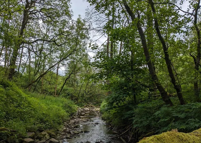 Ascot Village de vacances Tosside