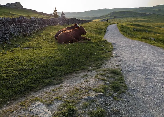 Ascot Village de vacances